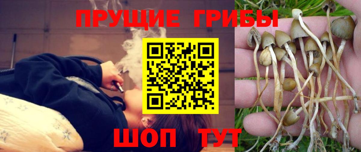 Галлюциногенные грибы мухоморы  Вход с VPN  Ейск  Псилоцибиновые грибы Psilocybe 